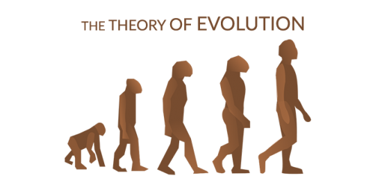 进化进展的发展理论