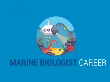 海洋生物学家职业：海洋生物学家做什么？