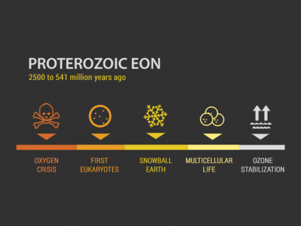 正常的EON：多细胞生命的真核生物（2500至5.541亿年前）
