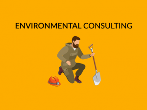 环境咨询职业生涯