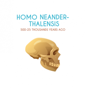 人类Neander-thalensis