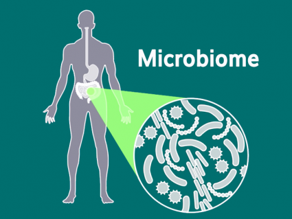 人体细胞与细菌：你体内微生物群