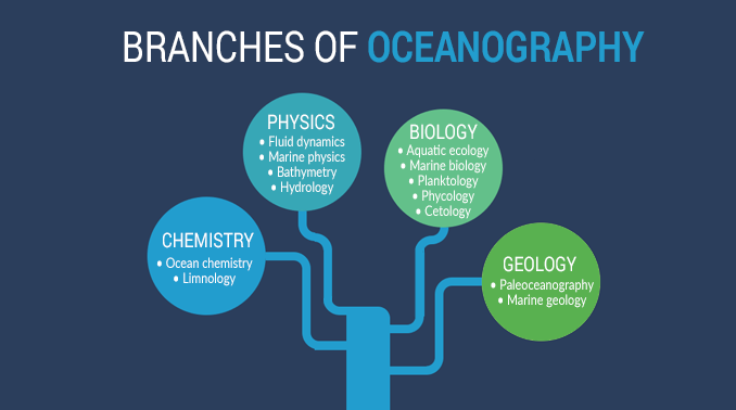海洋学的分支机构