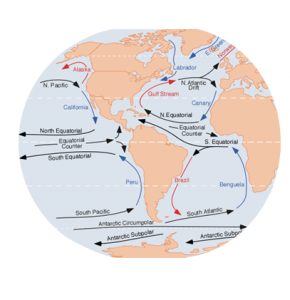 海洋电流循环