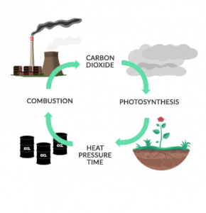 长期的碳循环