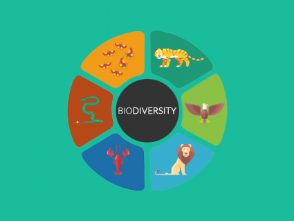 生物多样性（生物多样性）是什么？