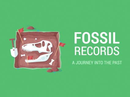 化石记录：进入过去的旅程