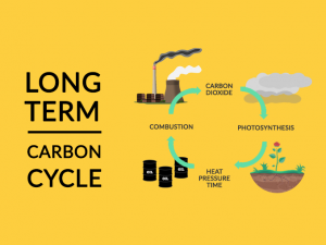 长期碳循环