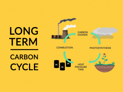 长期碳循环：二氧化碳到碳氢化合物