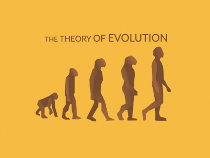 演化论：查尔斯达尔文与自然选择