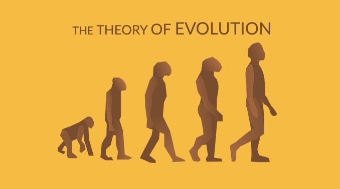 演化论
