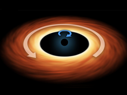 超级分类黑洞：星系的中心[信息图]