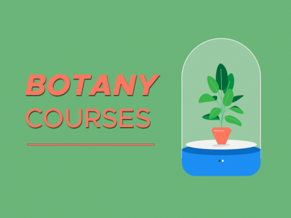 BOTANY课程 - 学习植物科学